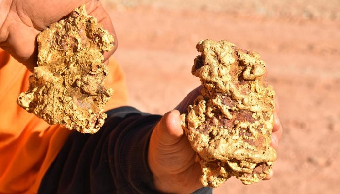 Pepitas de oro encontradas en Tarnagulla (Australia)